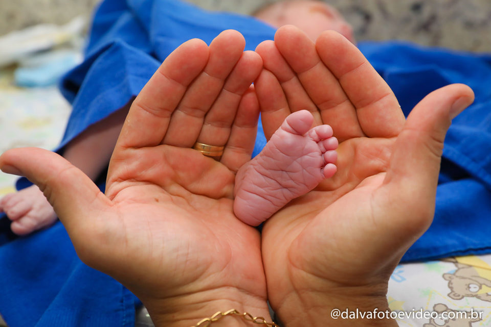 À chegada de Bernardo