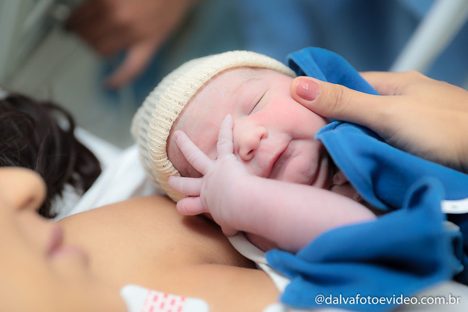 À chegada de Cecília