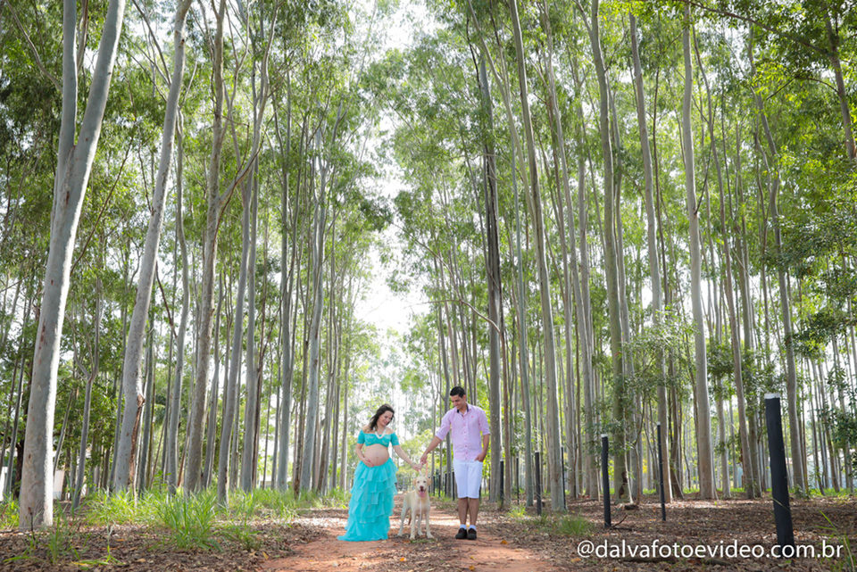 À espera de Ana Julia